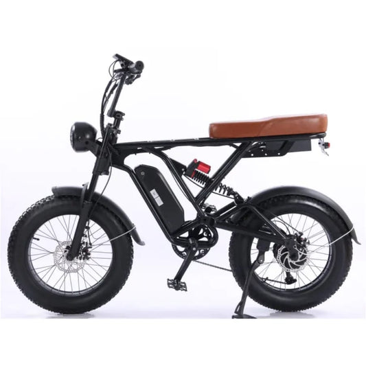 ELECTRIC MOUNTAIN BIKE