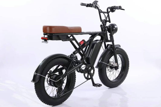 ELECTRIC MOUNTAIN BIKE