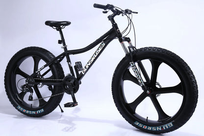 ADULT SPORT BICYCLE