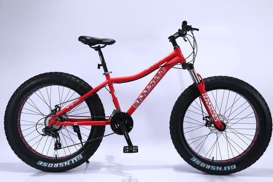 ADULT SPORT BICYCLE