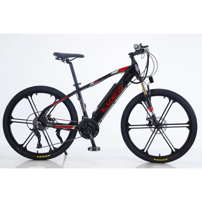 ELECTRIC HYBRID BIKE