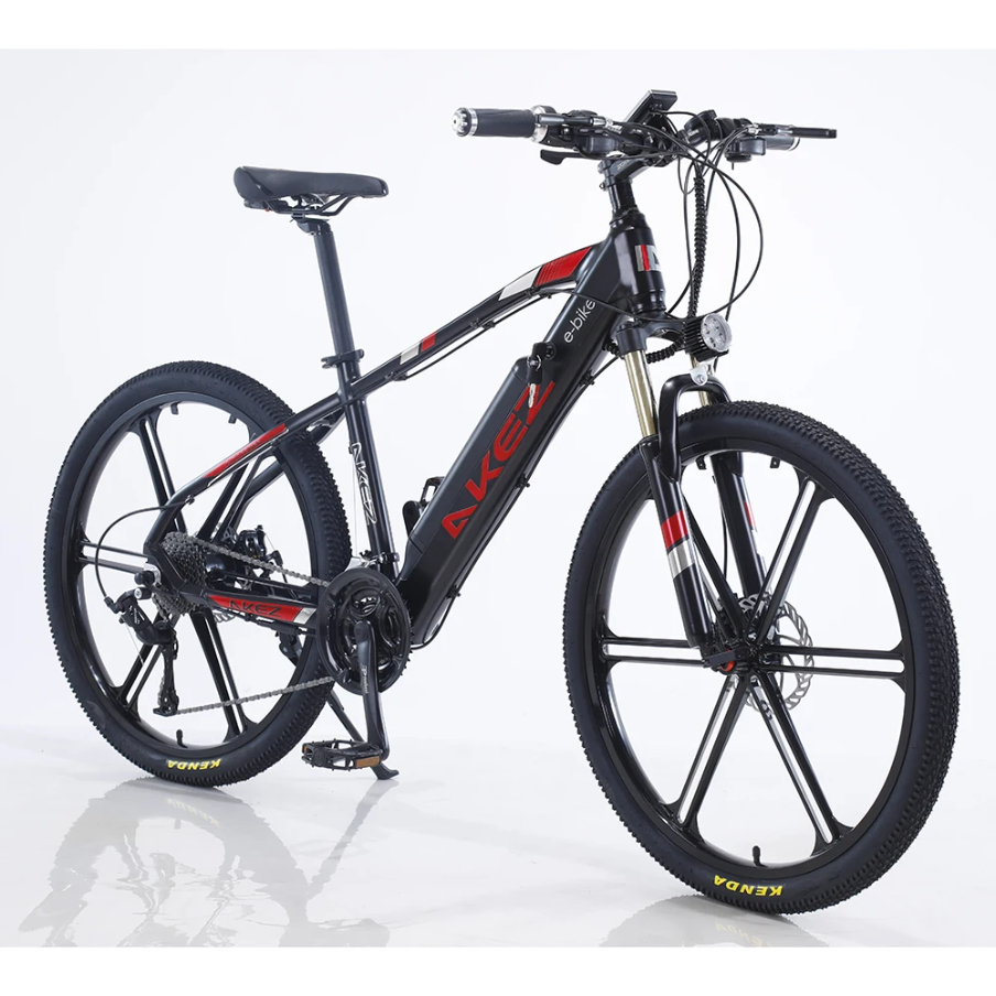 ELECTRIC HYBRID BIKE