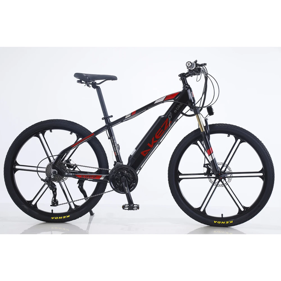 ELECTRIC HYBRID BIKE