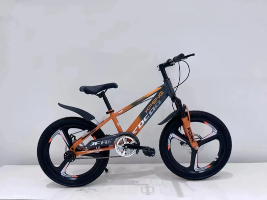 BICYCLE OUTDOOR SPORTS BIKE